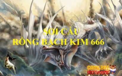 Top rồng bạch kim 666 là gì?